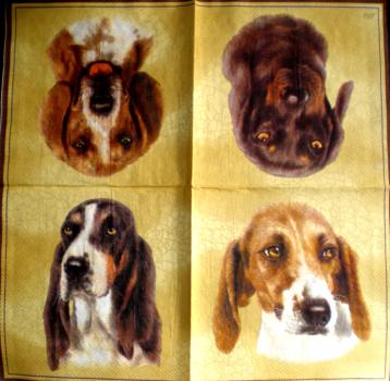074 Dogs - 3-ply (bright) - Ihr